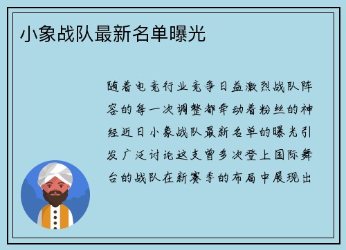 小象战队最新名单曝光