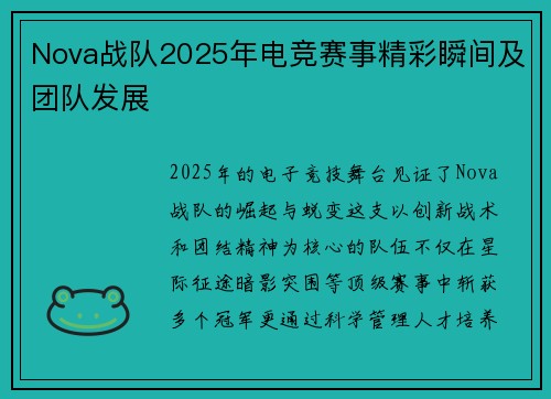 Nova战队2025年电竞赛事精彩瞬间及团队发展