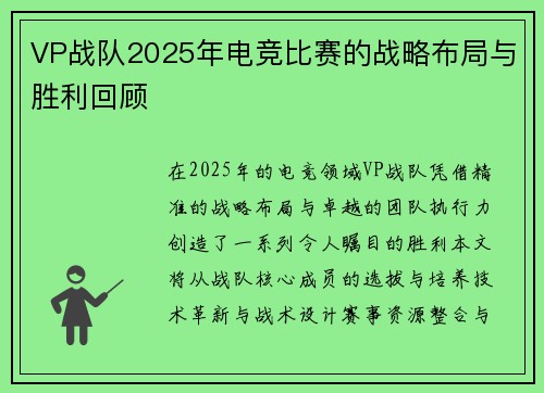 VP战队2025年电竞比赛的战略布局与胜利回顾